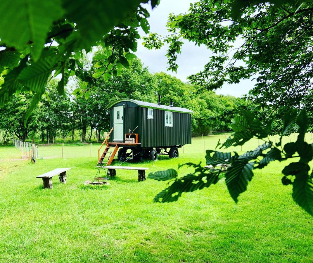 Campsite The Big Shepherds Hut Charlwood